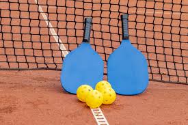 Pickleball is a beginner's group and we play at The Hurst between 10.30am and 12 noon on a Saturday morning. We have two courts available. Please email the Group Leader, Pat, on pmmorgan10@gmail.com if you are interested. 